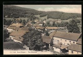 AK Saint Cergue, Ortsansicht, 1909