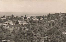 Münsterlingen (TG) Blick auf das Dorf und den Bodensee