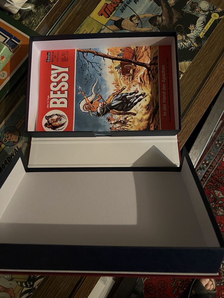 Comics: 6 Bessy Comic Aufbewahrungsboxen massiv Karton – Gebraucht aus Gysenstein von Comic_sammler 1
