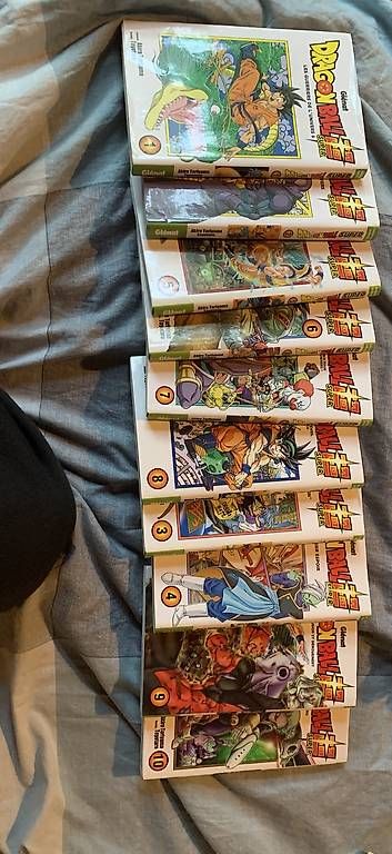 Fumetti: Manga DBS – Usato da Satigny venduto da kyl_yy7p 1