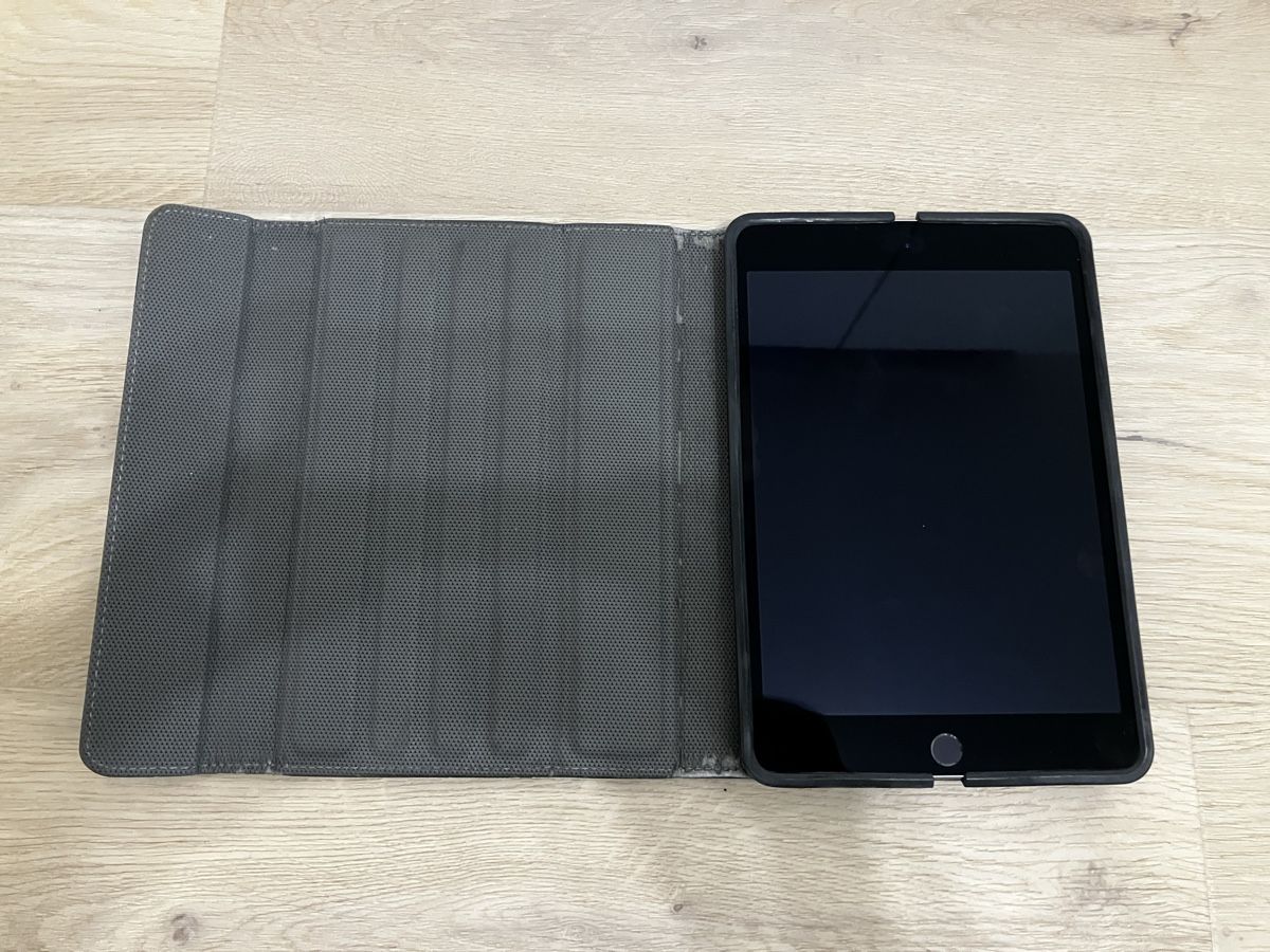 Apple Tablettes PC: iPad mini 4, 128GB – D'occasion à zug par Tarzan_g 1