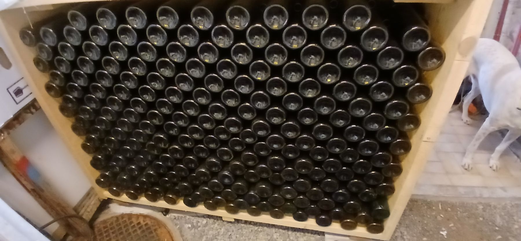 Verres, cruches & bouteilles: neue Weinflaschen 75 cl – Neuf (Voir description) à Aristau par Manufisch0