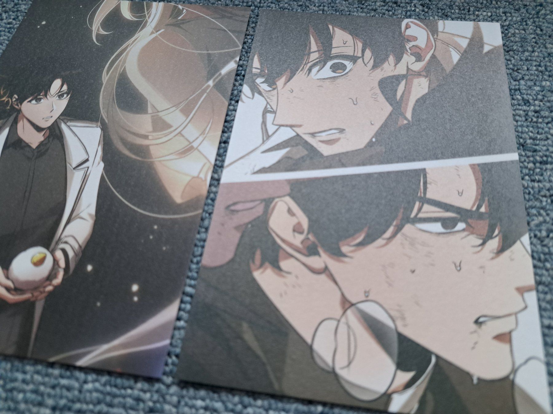 Fumetti: Omniscient Reader's Viewpoint Manhwa ORV Postkarte Artprint – Nuovo (secondo la descrizione) da Killwangen venduto da KIANA08 1