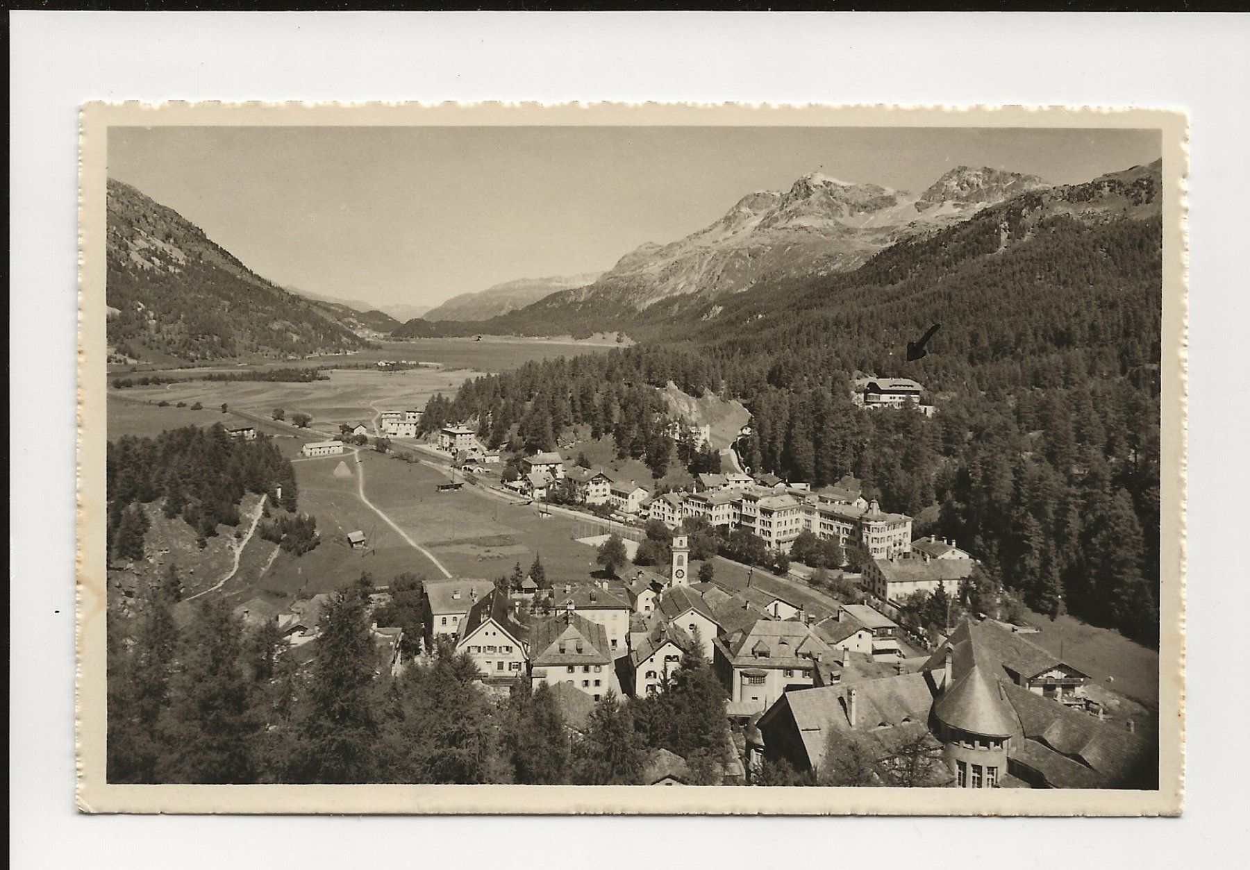 Cartoline postali: AK 1949 Sils-Maria , Engadin – Usato da Greifensee venduto da 315WDO