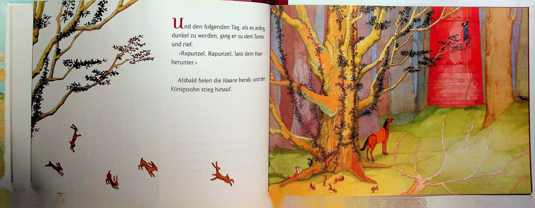 Libri: Brüder Grimm: Rapunzel Bilder Dorothe Duntze – Usato da Reitnau venduto da Zaomir 3