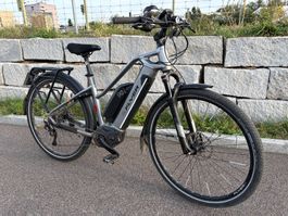 Flyer S-Pedelec 45 km/h (Bosch DualBattery)