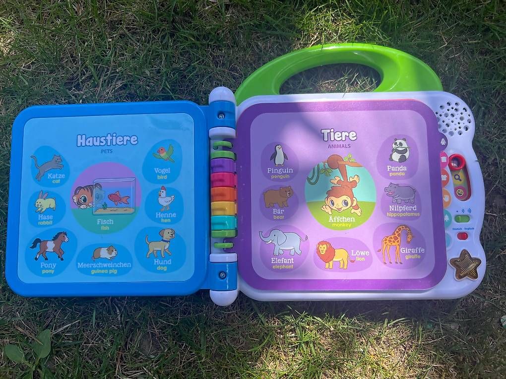 Giocattoli: VTech 100 Wörter-Buch - interaktives Lernspielzeug – Usato da Blumenstein venduto da reg_8ybn 1