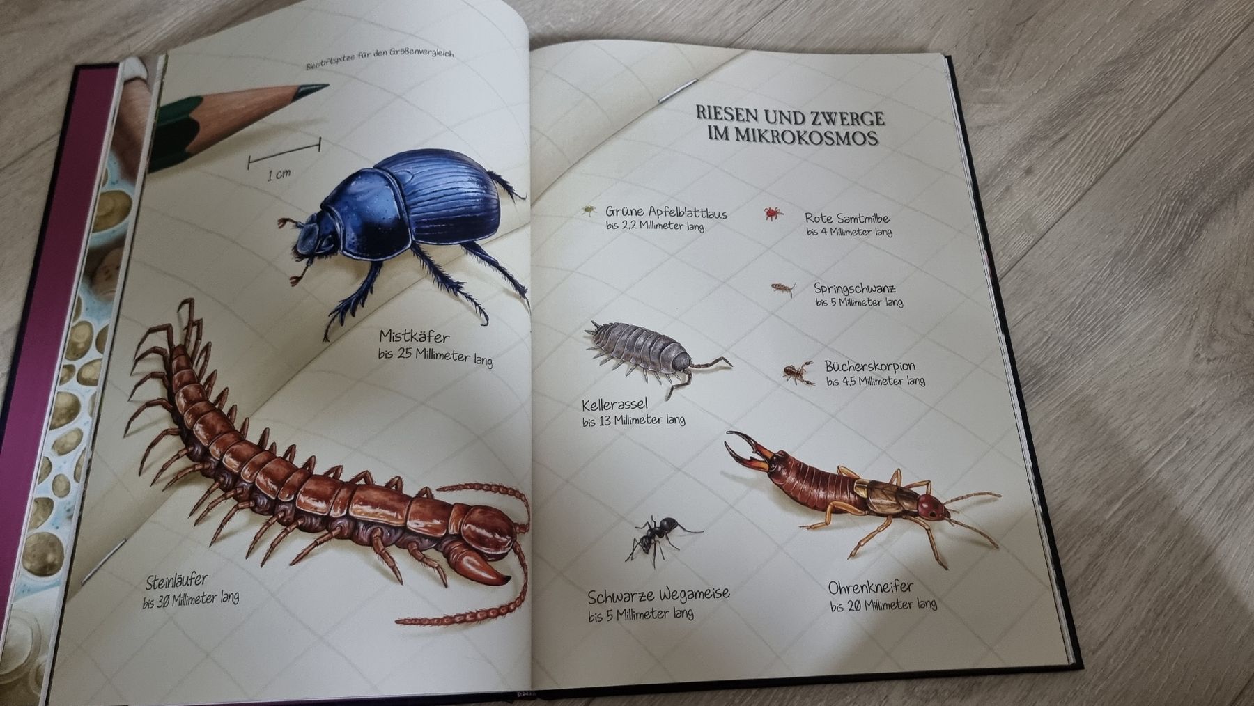 Libri: Verborgene Welten des Mikrokosmus – Nuovo (secondo la descrizione) da Wigoltingen venduto da Zuckerfee84 4