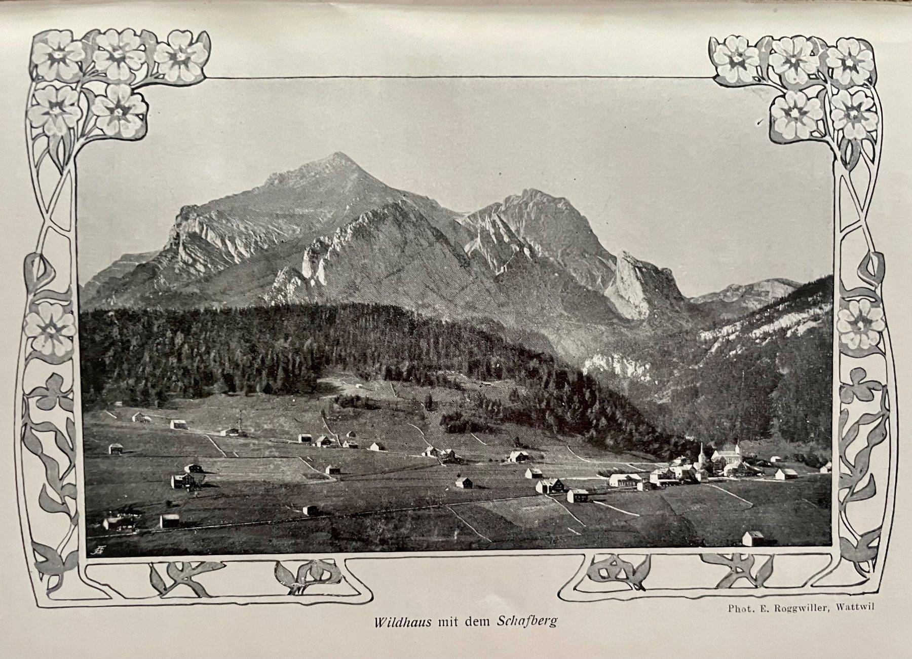 Libri: Das Säntis-Gebiet – Usato da Ebnat Kappel venduto da jostuka 3