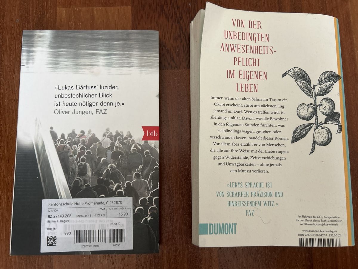 Libri: Deutsche Romane (auch einzeln kaufbar) – Usato da Zürich venduto da Naira03 1