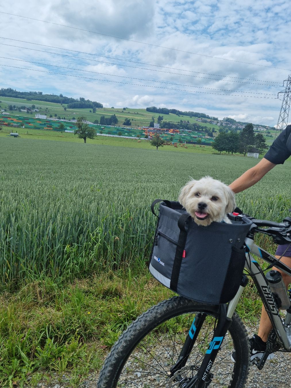 Ghost Velos: Mountenbike Ghost – Gebraucht aus Oberrohrdorf von Jsandmeier 5