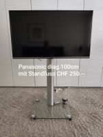 Fernseher