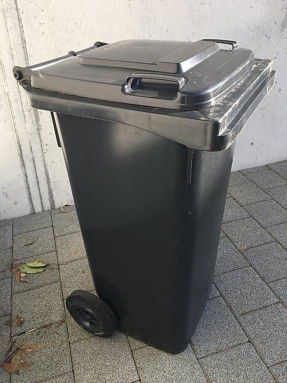 Altro: Grüncontainer 99 L – Usato da Schongau venduto da hurrli01 1
