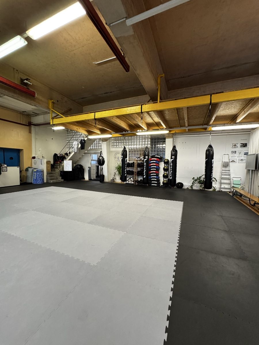 Tappetini fitness: Tatami Kampfsportmatten – Usato da Biel/Bienne venduto da valerK 2