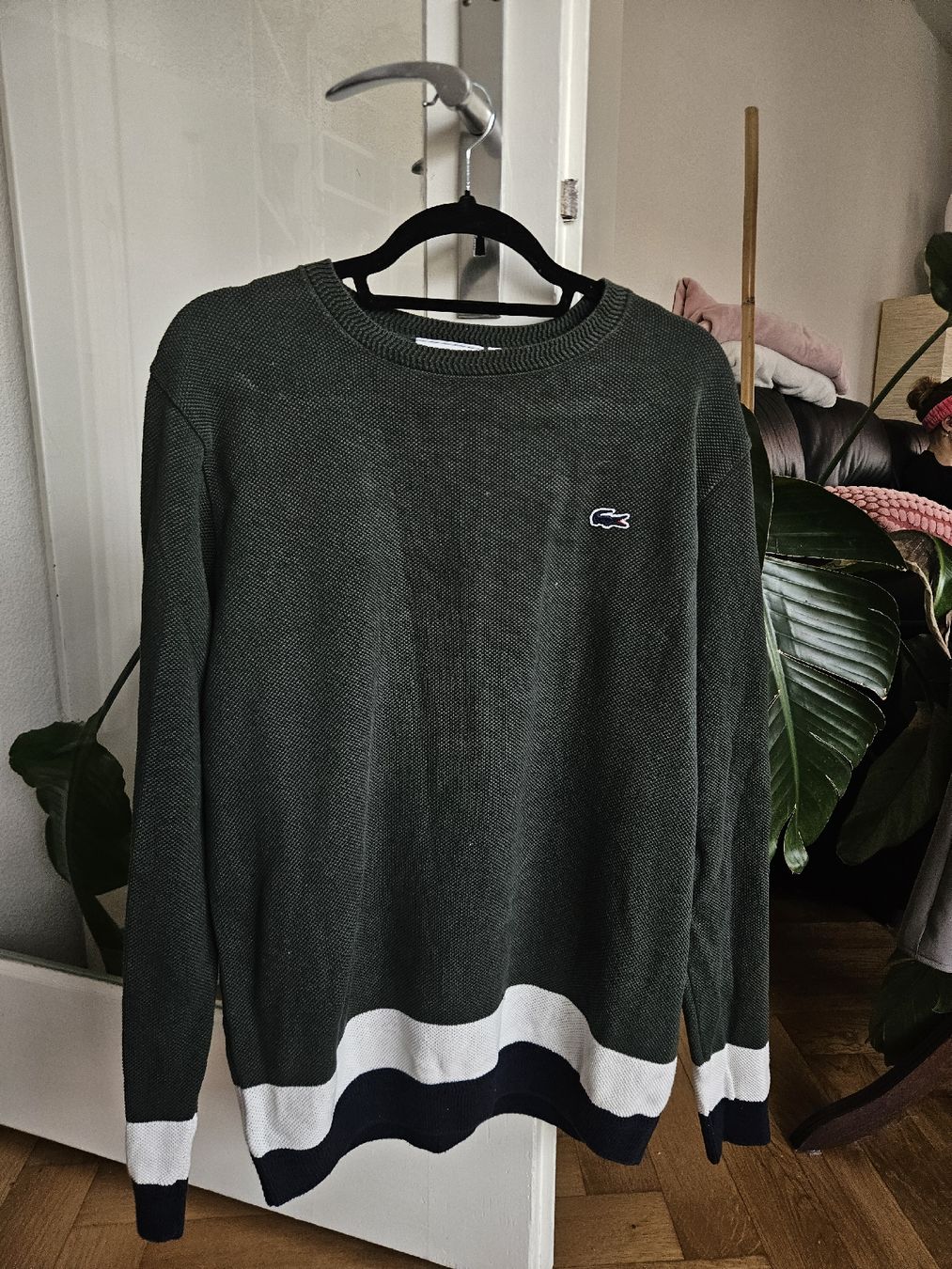 Lacoste Maglioni & Felpe: Pull Lacoste Homme, taille L, vert sapin. – Usato da Lausanne venduto da magic_roro