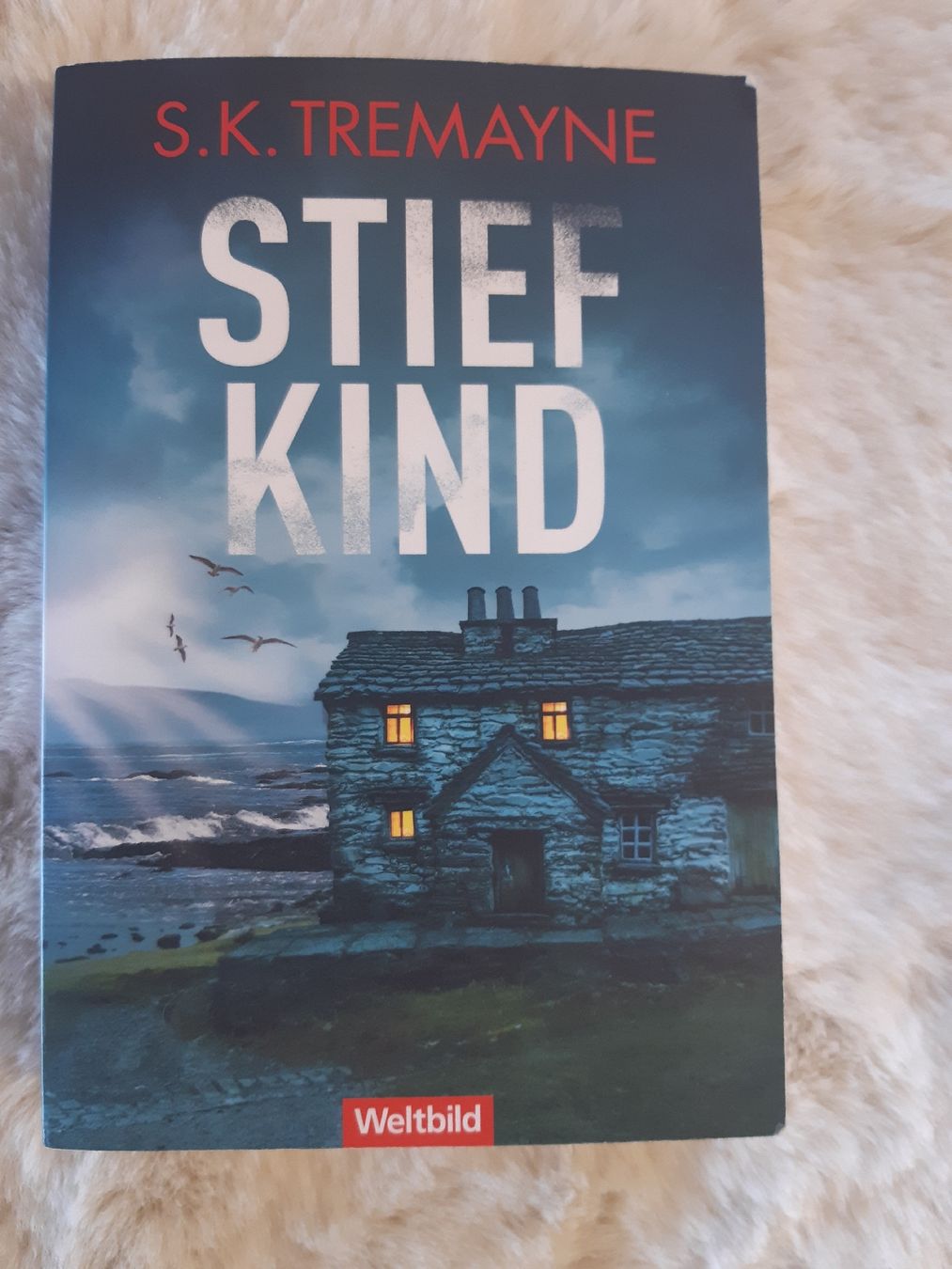 Libri: S.K.Tremayne - Stiefkind – Usato da Toffen venduto da Gwunderegge77