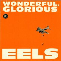 CD Eels - Wonderful, glorious (2013)