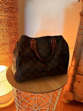 Louis Vuitton Speedy Monogram