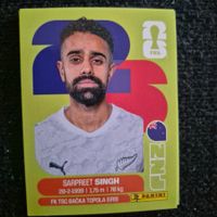 NZL 11 Panini FIFA WM 2026