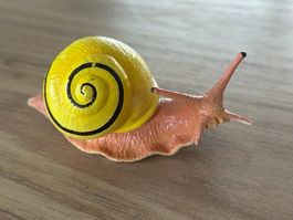 Safari Ltd. Weisslippenschnecke Sammelfigur