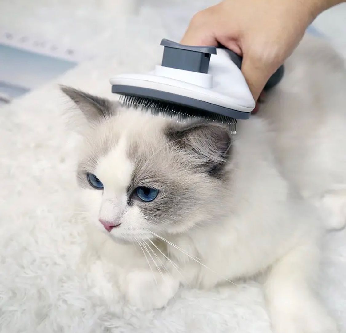 Pflegeprodukte & Putzartikel: Tierhaarbürste selbstreinigend Hunde & Katzen grau – Neu und originalverpackt aus Lachen SZ von Lifestyle_Products 2