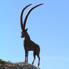 Profile image of hs375