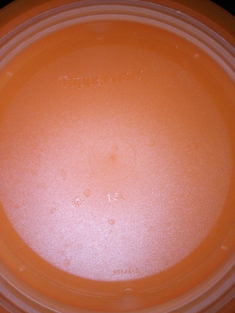 Tupperware Contenitori & Simili: 2 TUPPERWARE Mini-Max - Faltbare Schüsseln mit Deckel – Usato da Werdenberg venduto da EXA-Secondhand 5