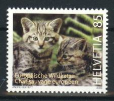 2009, Europäische Wildkatzen ** (1)