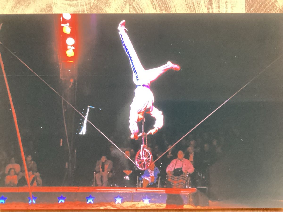 Foto & Immagini: Circus Knie Foto 1999 – Usato da Reichenbach i. K. venduto da astra2010