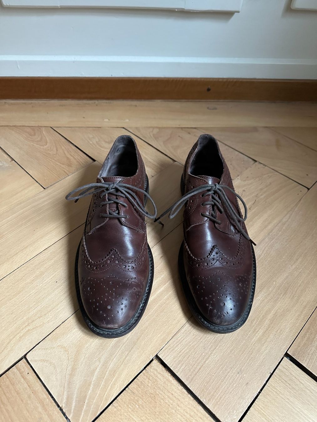 Chaussures hommes: COX - Leder Budapester Halbschuhe braun 41 – D'occasion à Zürich par Diazaio 1