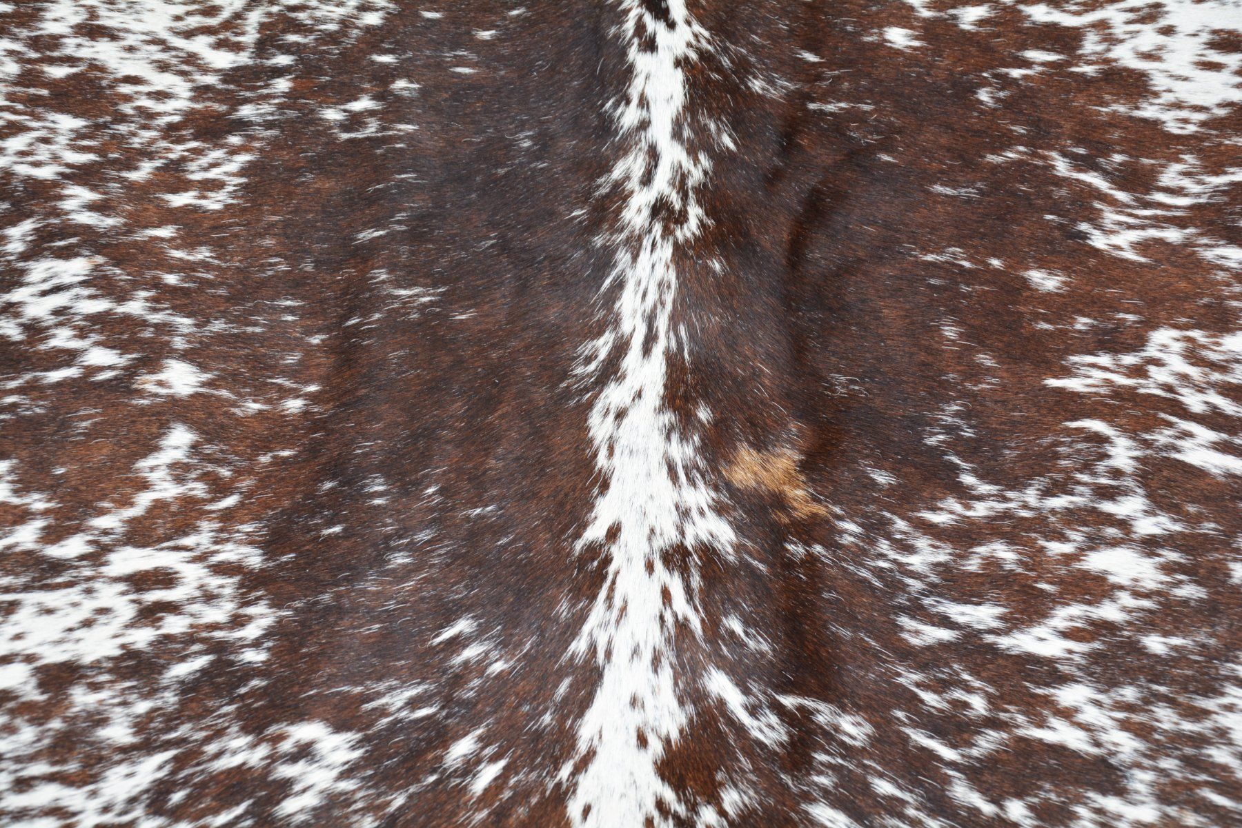 Tappeti: echtes Kuhfell Teppich Brown/White – Nuovo e nell'imballaggio originale da Arbedo venduto da patagonialeatherrugs 3