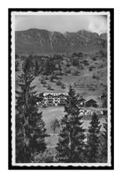 LES DIABLERETS -1965 "La Gentiane"