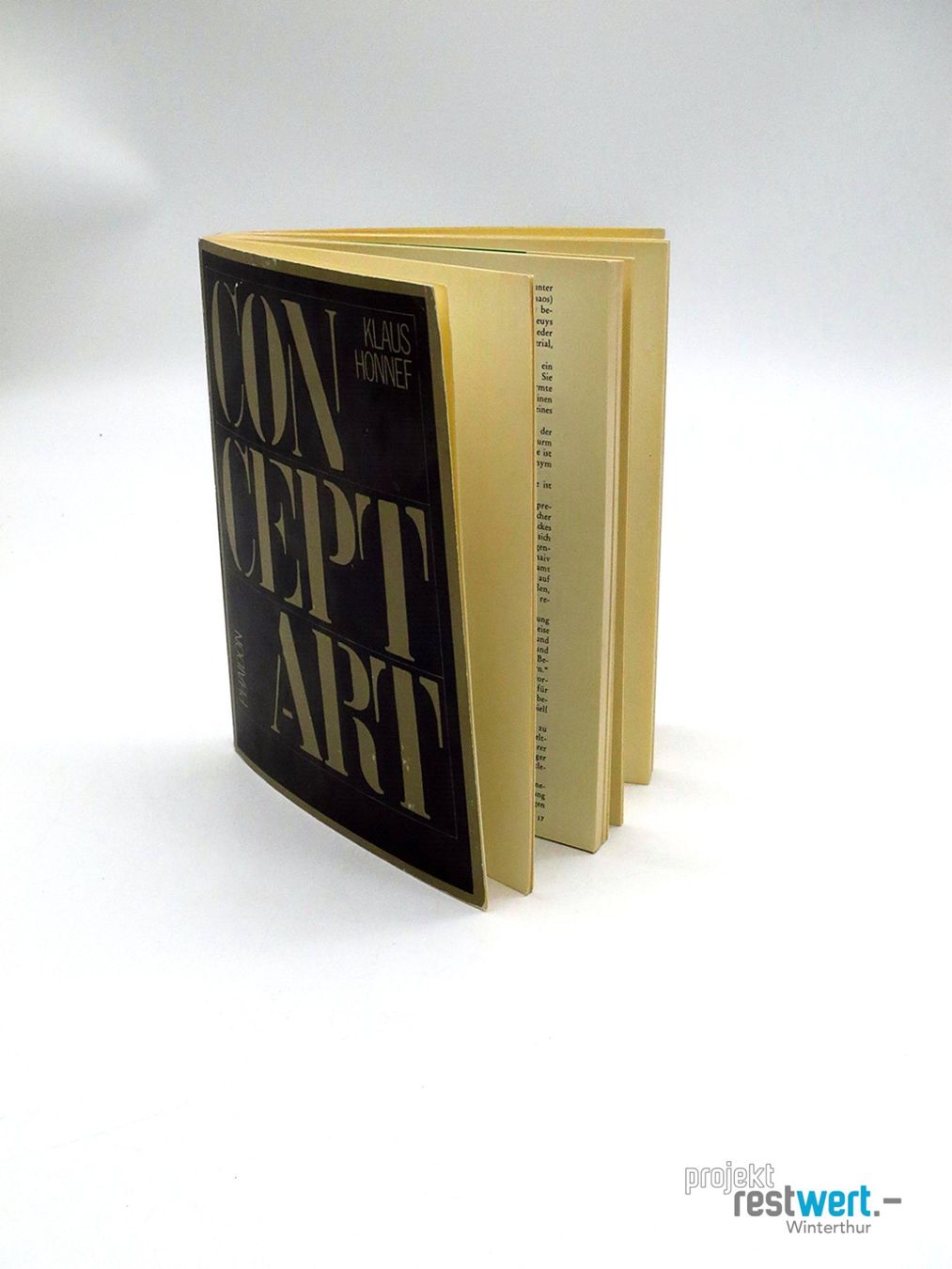 Libri: KLAUS HONNEF / CONCEPT Art. – Usato da Winterthur venduto da Restwert_Winterthur 7