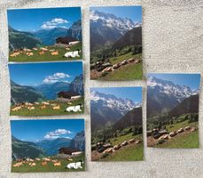 LOT ANSICHTSKARTEN KÜHE
