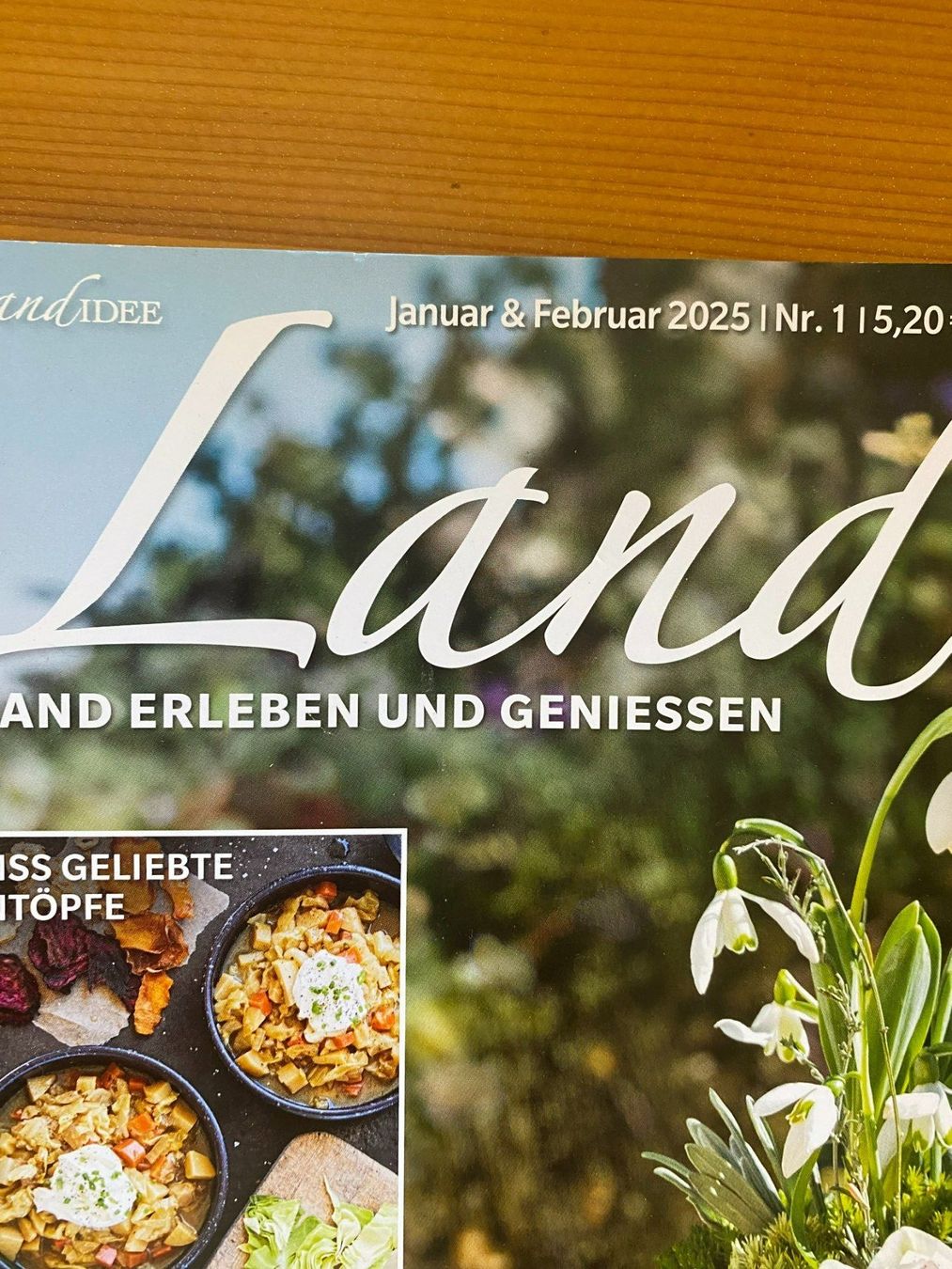 Riviste & Magazine: MAGAZIN HEFT LAND IDEE – Usato da Meienried venduto da ManuelaBoutique 3