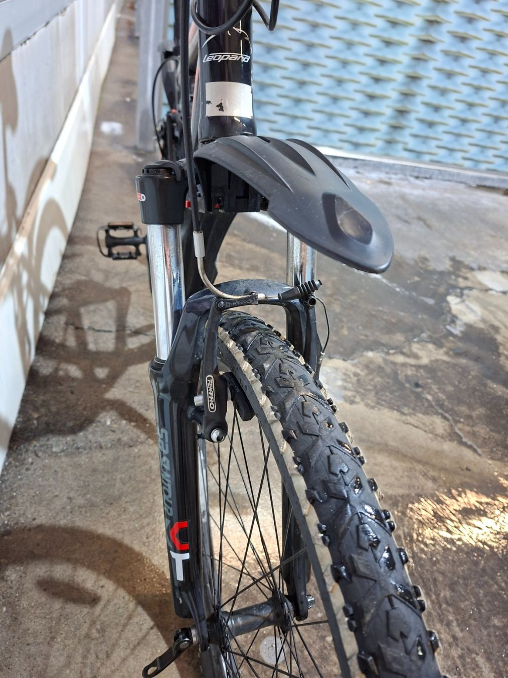 Leopard Biciclette: Leopard rock cat Velo – Usato da Kehrsatz venduto da bassooon 6