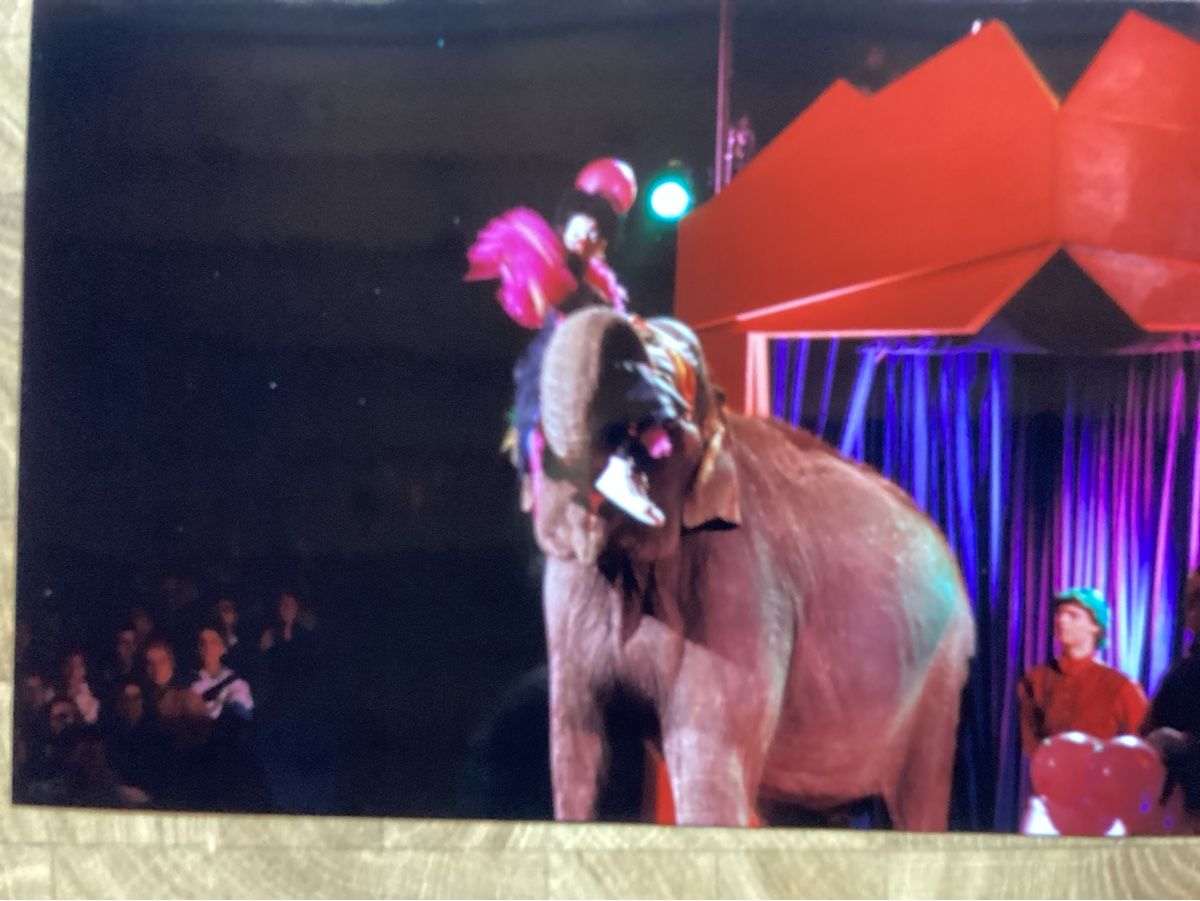 Foto & Immagini: Circus Knie Foto 1992 – Usato da Reichenbach i. K. venduto da astra2010