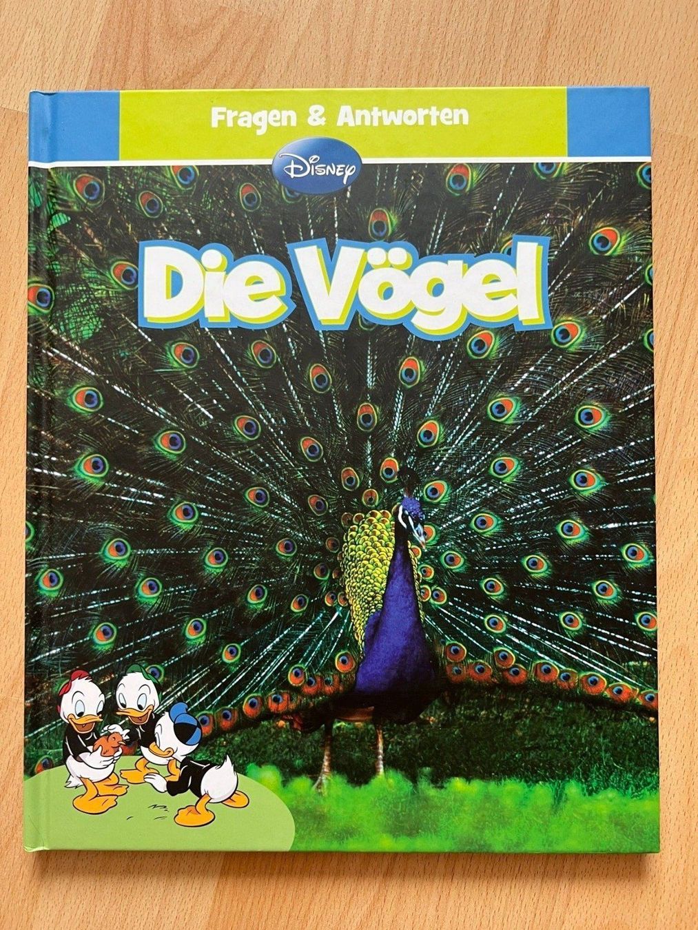 Libri: Die Vögel - Fragen&Antworten - Disney – Usato da Balzers venduto da Alannah