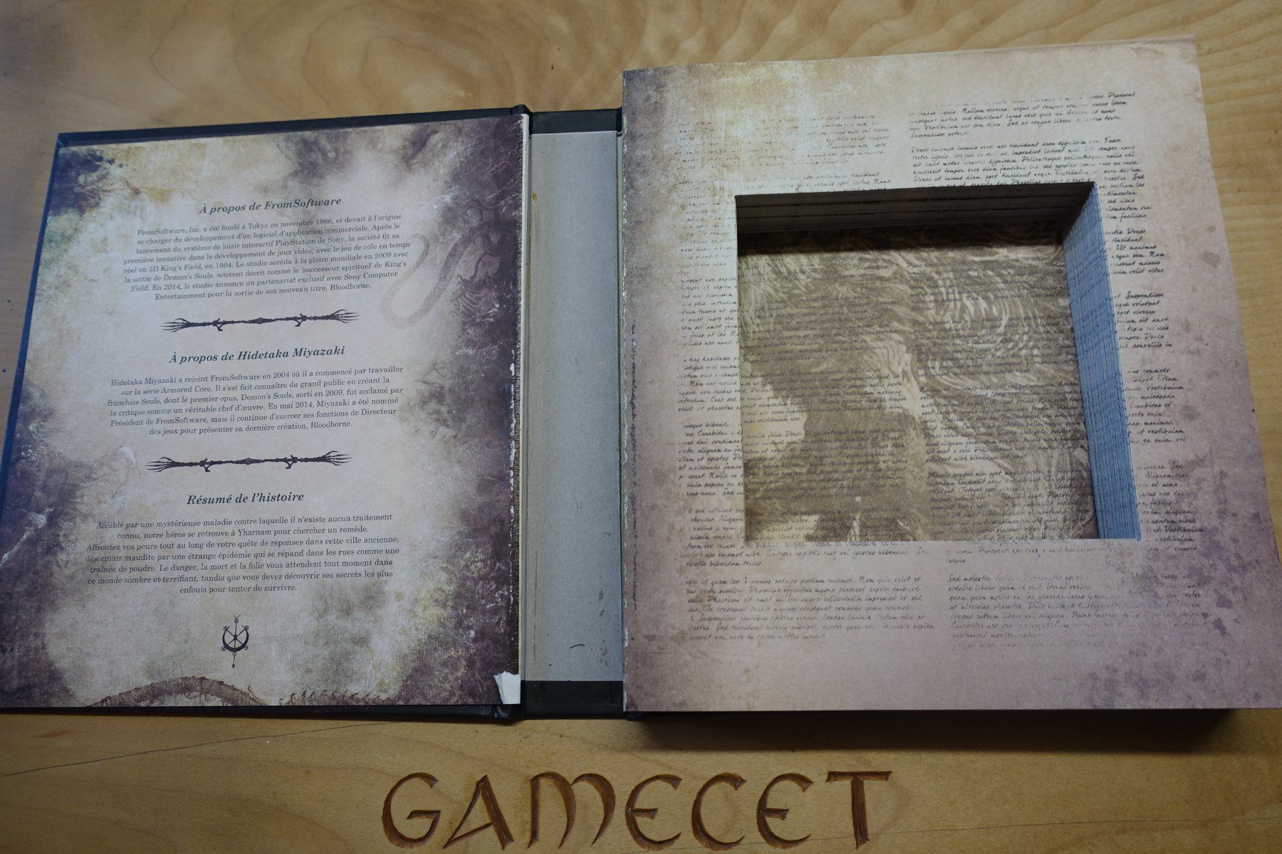 Sony Giochi: Bloodborne - Press Kit - französische Version – Usato da Steinach venduto da Gamecet 5