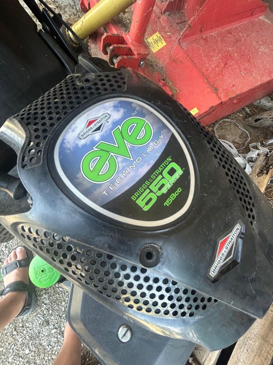 Tagliaerba: 2 Stk. Rasenmäher (Honda & MTD) – Usato da Knonau venduto da Audi_1999 7