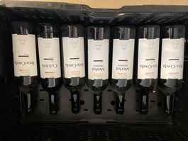 7 Fladchen Tessiner Rotwein Trapletti