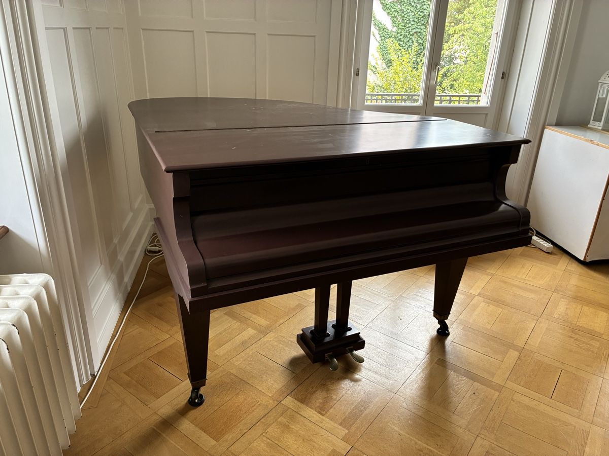 Strumenti musicali: Piano queue 1/2 cola restauré – Usato da Biel/Bienne venduto da vincent.vuilleumier 6