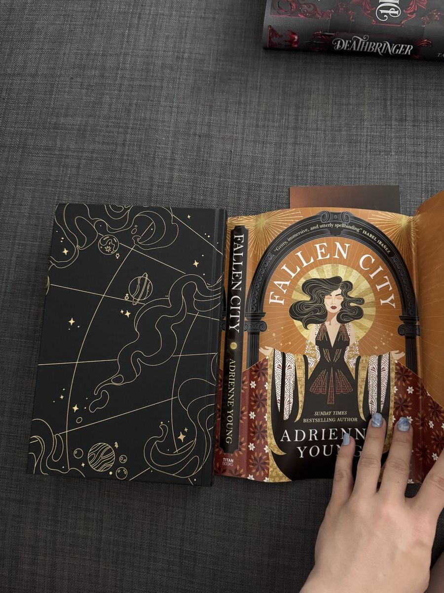 Libri: Fallen City Fairyloot Special Edition – Nuovo (secondo la descrizione) da Schwyz venduto da sar_6zp9 3