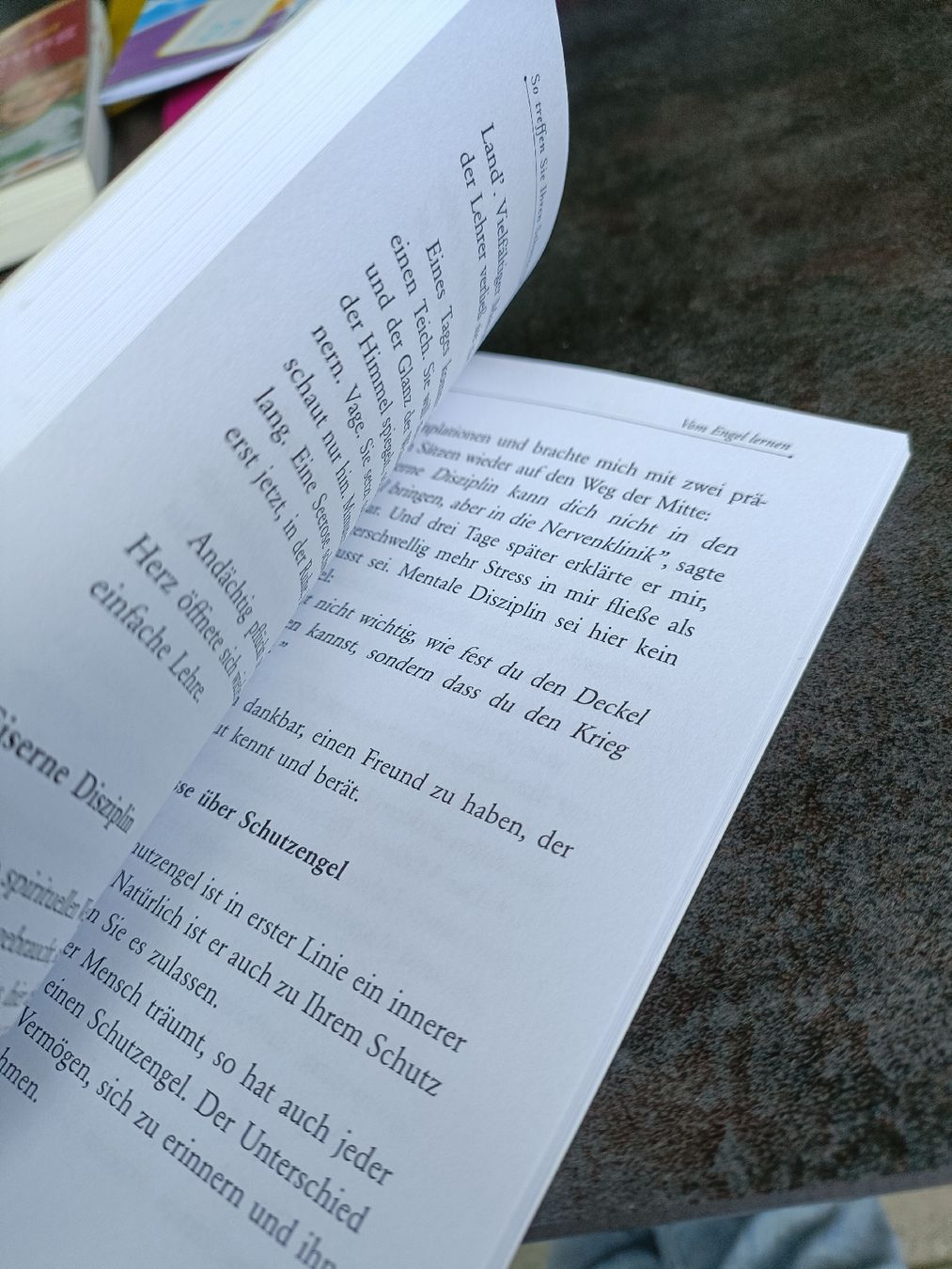 Libri: Schutzengel - so treffen sie ihren Schutzengel – Nuovo (secondo la descrizione) da Gossau SG venduto da scania1509 2