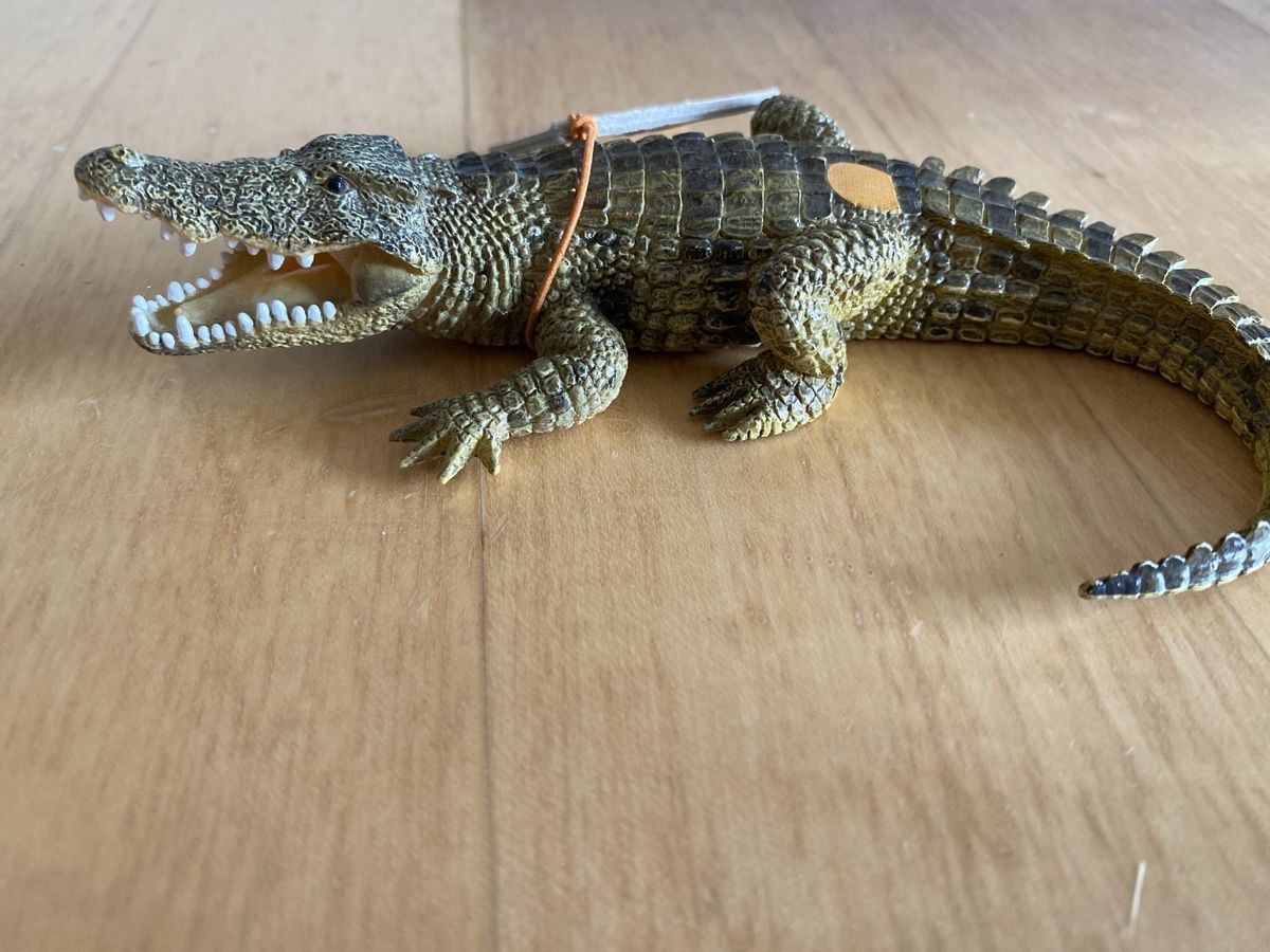 Ravensburger Spiele: Tip Toi Krokodil – Gebraucht aus Illnau von Dodo115 1