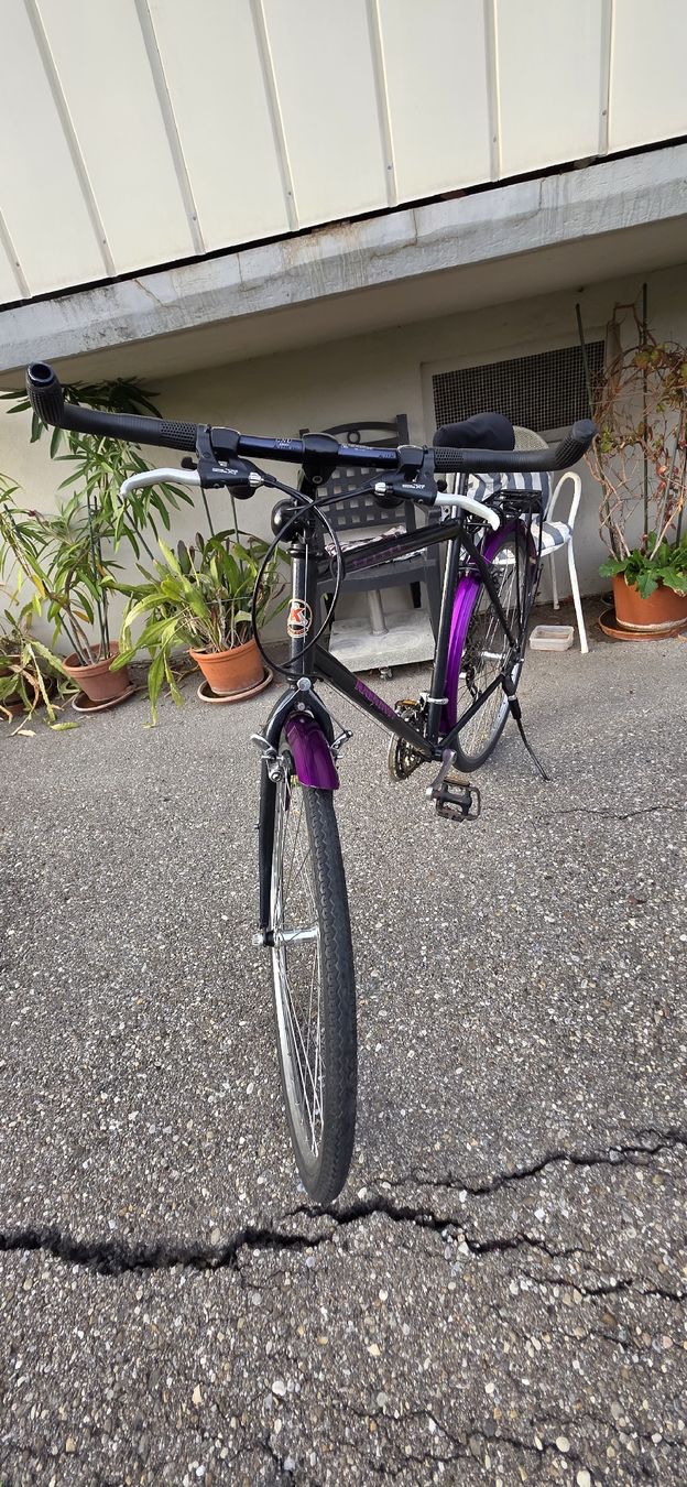 Velos: Tracer Kalkhoff 28 Zoll 55cm – Gebraucht aus Solothurn von mar_8qf8 1