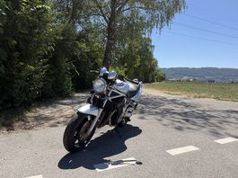 Suzuki Bandit GSF 1200 Frisch geprüft