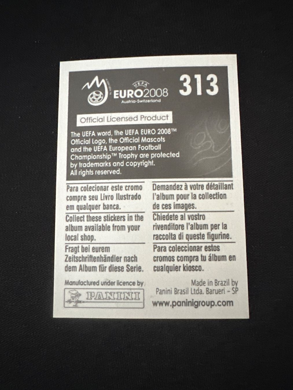 Panini Carte collezionabili: Panini UEFA EM 2008 Sticker - Nr. 313 – Usato da Sulz AG venduto da DealWerk 1