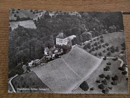 Ansichtskarte Schloss Heidegg LU Flugaufnahme schwarzweiss