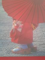 sehr schönes Japan Poster gerahmt 54 x 74 cm